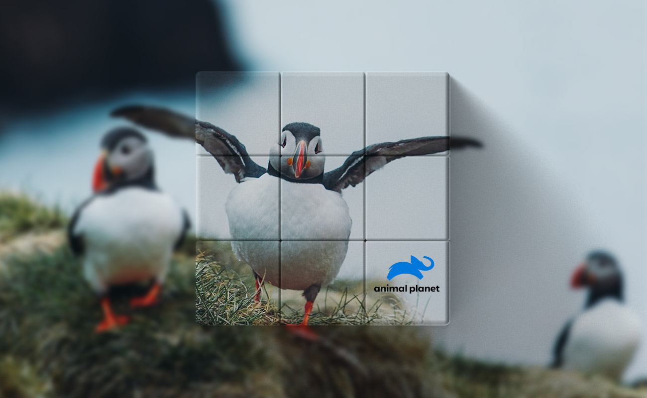 Blox - Personalizovaná Kouzelné kostky gallery thumbnail